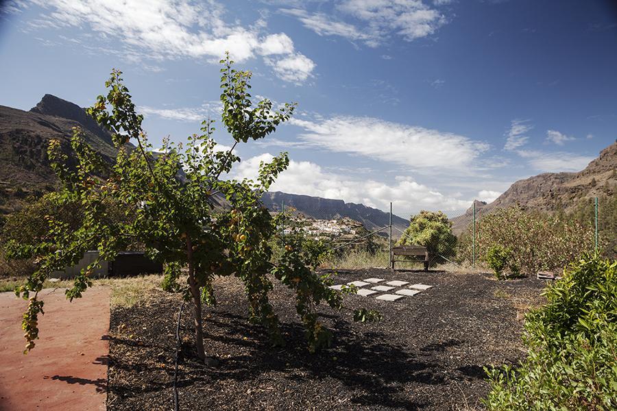 Ecotara Canary Islands Guest House Fataga Room photo