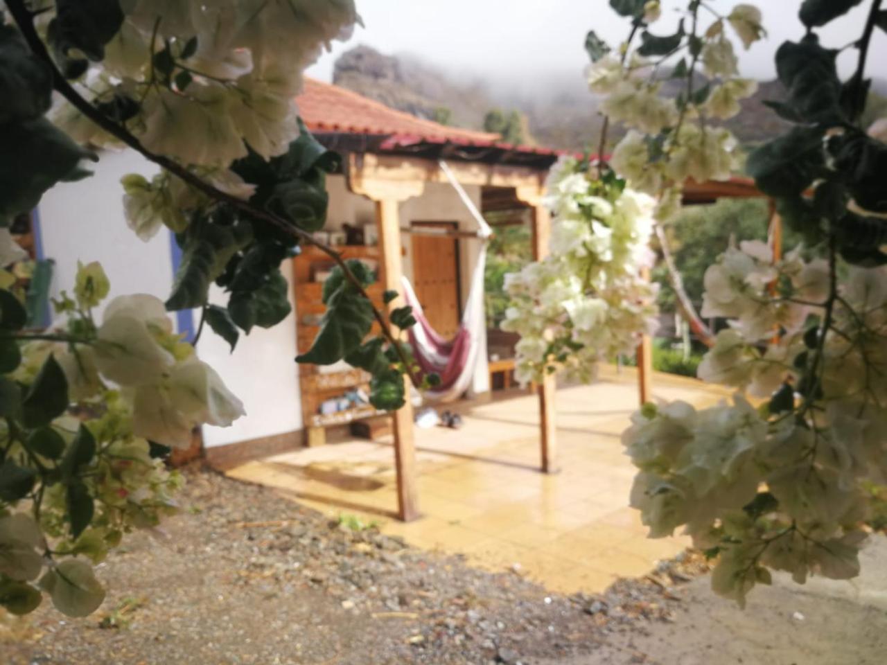 Ecotara Canary Islands Guest House Fataga Exterior photo