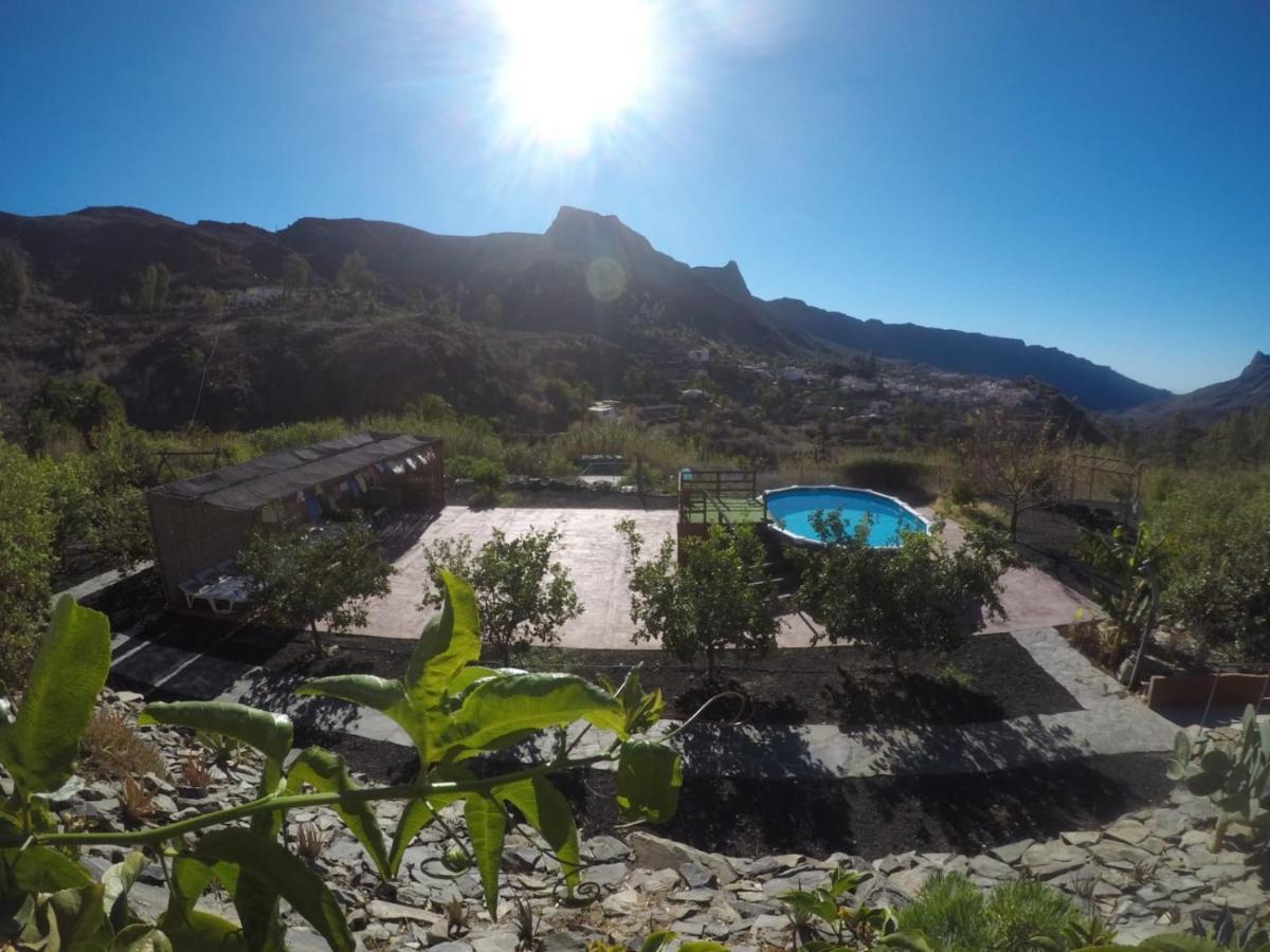 Ecotara Canary Islands Guest House Fataga Exterior photo